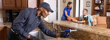 Best Residential Pest Control  in Nedrow, NY