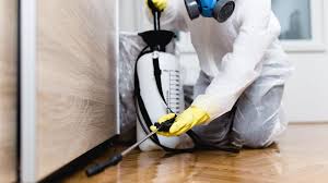 Best Pest Prevention Services  in Nedrow, NY